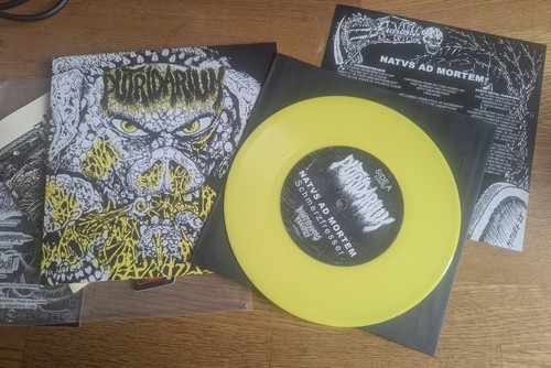 Putridarium natvm ad mortem - putridarium,